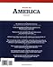 America (The Book): A Citizen's Guide to Democracy Inaction