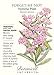 Victoria Pink Forget-Me-Not Seeds - .25 grams