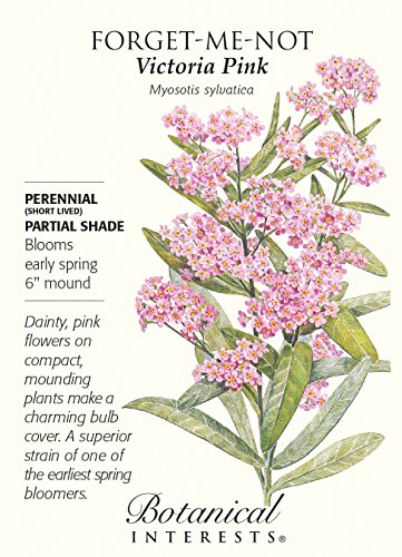Victoria Pink Forget-Me-Not Seeds - .25 grams Victoria Pink Forget-Me-Not Seeds - .25 grams