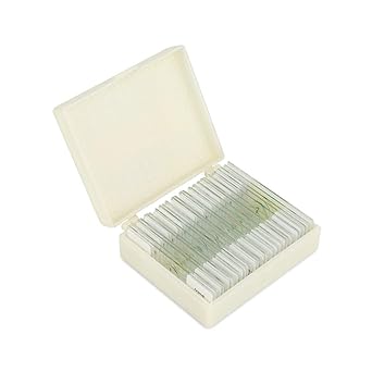 Prepared General Microscope Slide Set 25 Ideal Slides For Intermediate Pre High School Use Survey Plants Animal Tissue Protozoa And More Amazon Com Industrial Scientific Prepared General Microscope Slide Set 25 Ideal Slides For Intermediate Pre High School Use Survey Plants Animal Tissue Protozoa And More Amazon Com Industrial Scientific