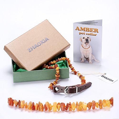 Baltic Amber Collar with Adjustable Leather Strap for Dogs and Cats(12"-14") / Natural Pet Protection / Gift-Ready Packaging - Certified Raw Baltic Amber