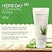 [The Face Shop] Herb Day Cleansing Foam, Aloe