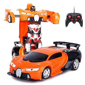 remote control fighter car