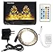String Lights Moniko with Remote Copper Wire Lights Indoor or Outdoor Christmas Lights for Bedroom Garden Patio Wedding Christmas Tree Party Waterproof 100 LEDs 33 ft with Power Adapter (Yellow)