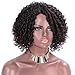 AISI QUEENS Kinky Curly Wig for Black Women Black Mixed Red Color Side Part Short Afro Synthetic Heat Resistant Fiber Daily Part Wigs(1b/bug)