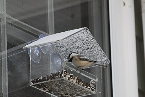 Window Bird Feeder By Yellow Beaks The Best Clear Acrylic