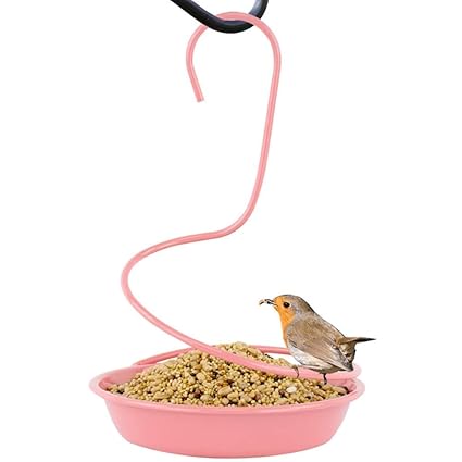 Amazon Com Pl Wild Bird Feeder Outdoor Bird Feeders With Drain