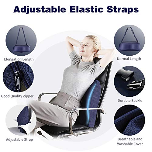 Winjoy Ergonomic Lumbar Support Pillow, 100% Pure Memory Foam Back Cushion with Breathable 3D Back Pillow Design for Lower Back Pain Relief,Durable Adjustable Straps for Chair/Recliner/Car Seat