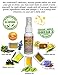 Bacon Flavored Spray for Dry Dog Food 2 Oz Bottle