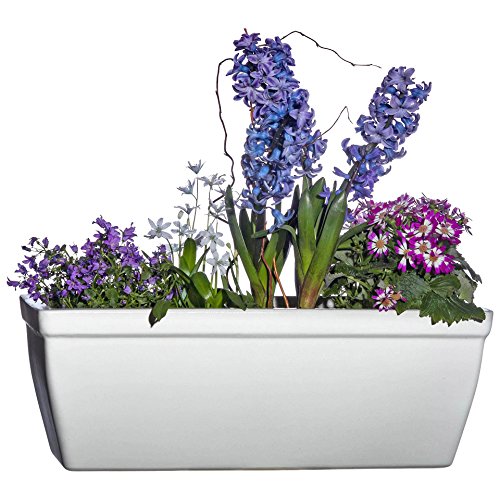 Hentschke Keramik Balkonkasten Fensterkasten frostsicher 48 x 19 x H 17 cm, weiß, 259.048.04 - Made in Germany – Bild 3