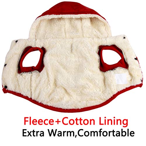 Fleece Lining Extra Warm Dog Hoodie in Winter for Small Dogs