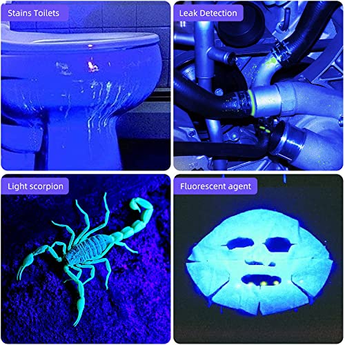 TERRIFI UV Flashlight 365nm - Portable Rechargeable Mini Blacklight LED Ultraviolet Light for Detecting Pet Urine Stains, Fluorescent Material, Money and Amber