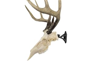 Wicked North Hang Up European Adjustable Mounting Bracket