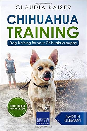 chihuahua training