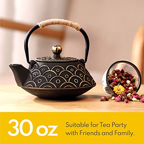 VUDECO Japanese Teapot Cast Iron Tea Kettle with Infuser Japanese Tea