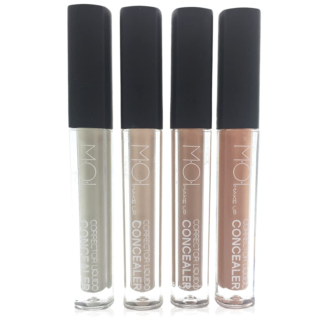 Moi Moises Field Concealer Liquid Concealer with Brush Applicator Beige 5 ml M·O·I Make Up 30 g