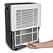 Ivation 30 Pint Energy Star Dehumidifier - For Spaces Up To 2,000 Sq Ft - Includes Programmable Humidistat, Hose Connector, Auto Shutoff / Restart, Casters & Washable Air Filter (30 Pint),White