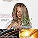 Hair Straightener, Ceramic Flat Iron for Straightening and Curling with Adjustable Temperature 320℉-460℉, Quick Heating Up for All Hair Typesthumb 4