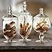 Small Glass Apothecary Jars with Lids, 3-PC Kitchen Canisters 8/9/11-inch , Bathroom Organizers, Decorative Storage Containers For Cookie & Candy Buffet, Home, Party & Wedding Centerpiece, Gift Idea