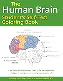 Human Brain Student's Self-Test Coloring Book by Joshua Gowin Ph.D., Wade Kothmann Ph.D.