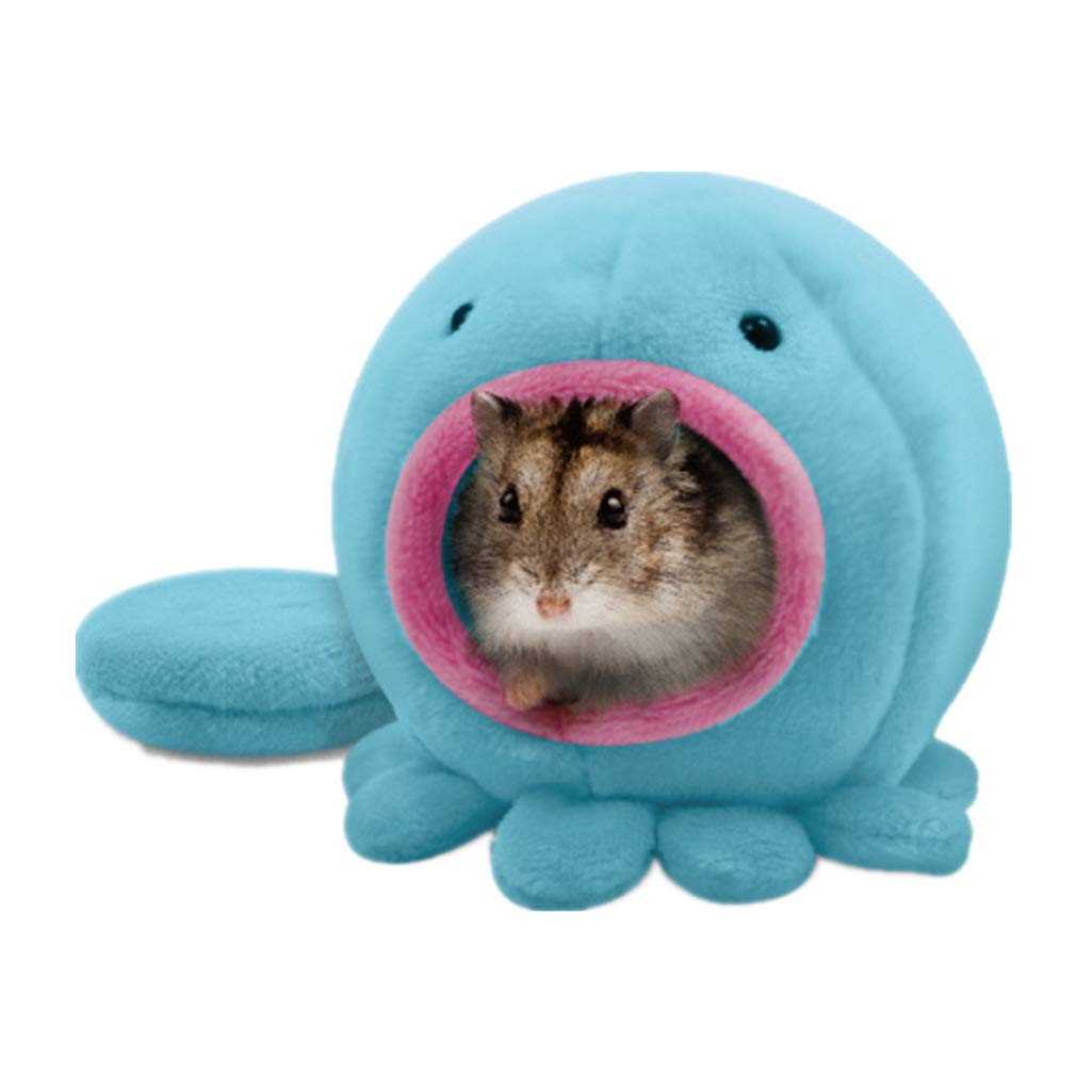 cute hamster beds