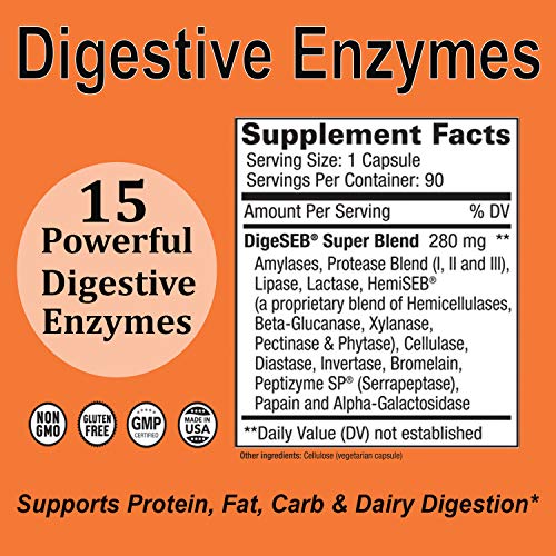 Digestive Enzyme Supplement DigestGI Ultra 90 Vegetarian Capsules