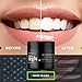 Always Bright - All Natural Teeth Whitening Charcoal Powder-Home Teeth Whitening-Vegan Organic Active Whitener For a Brighter And Healthier Smile - Mint Flavor