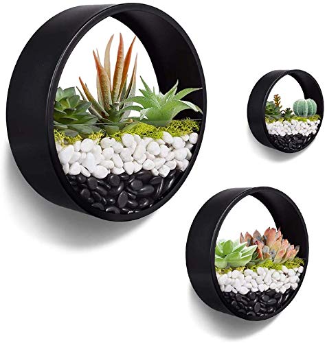 JonesHouseDeco Set of 3 Round Planter Flower Pot Wall Mounted Hanging Vase Black Metal Artificial Hanging Planter Succulent Planters 5cm Thick W/Acrylic Glass Waterproof Home Decoration Indoor Outdoor