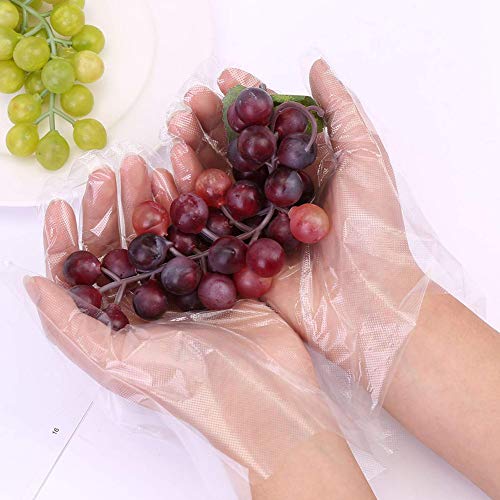 JINHEZO Disposable PE Gloves, Non-Sterile, Powder-Free, Smooth Touch, Food Service Grade, for Cleaning, Food Handling, hairdressing, party dining, car washing, etc, Large Size Clear (Pack of 500)