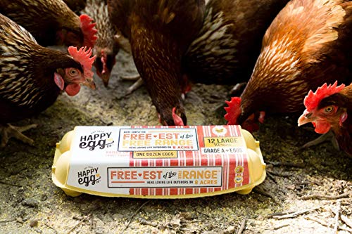 Happy Egg Co. Free Range Eggs - Image 5