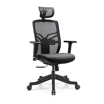 Hessen High Back Office Chair Ergonomic With Lumbar Support Headrest And 3d Arm Rest Adjustable Seat Depth And Back Height Highly Adjustable Home