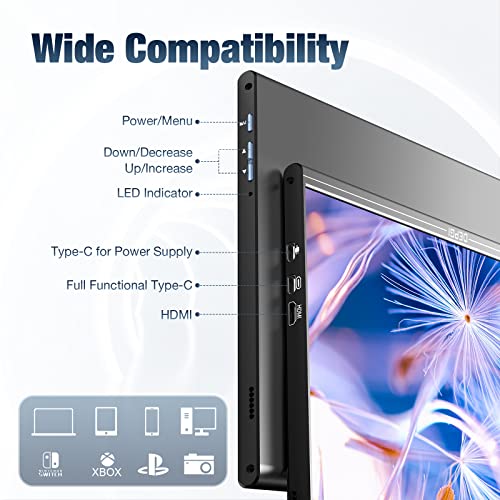 DEPGI QLED Portable Monitor 15.6\