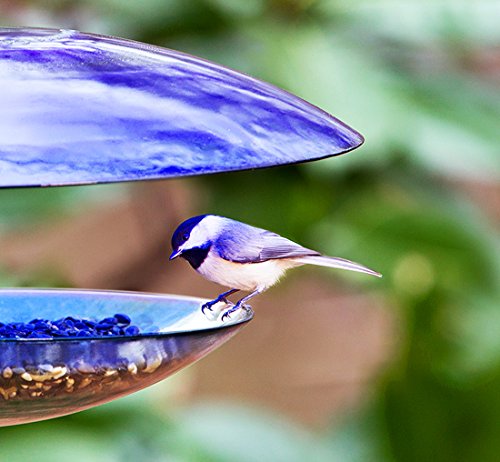 Mosaic Birds M380 201 15 Baffle Dome Bird Feeder Clear Cobalt Blue