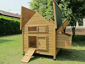 Chicken Coops Imperial Grand Poulailler Savoymarlborough 4 To 6 Poules En Fonction De La Taille Nichoir La Perche
