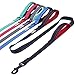 VIVAGLORY Twingrip Dog Leash, Double Handle Dog Leash for Training & Walking with Traffic Handle & 2 Loop, Traffic Control Reflective Heavy Duty for Puppy Pet, 6ft x 1in, Black