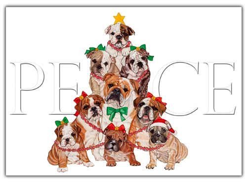 Bulldog Christmas Cards : 10 Holiday Cards with White Envelopes
