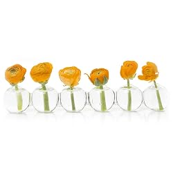 Caterpillar, Small Clear Glass Bud Vase for Short Flowers, Unique Low Sitting Flower Vase, Cute Floral Vase for Home Decor, Weddings, Floral Arrangements, Arranging, 6 Interconnected Round Balls
