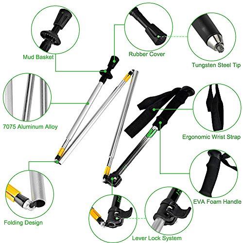 LoveisCool 2 Pack Trekking Poles - Folding, Collapsible, Adjustable,and Ultralight - Perfect for Hiking, Walking, Backpacking and Snowshoeing (green)