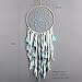 Dream Catcher Handmade Traditional Tassel Dream Catcher Wall Hanging Home Decoration (Tassel Bohemia)