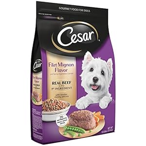 Cesar Small Breed Dry & Wet Dog Food, All Flavors