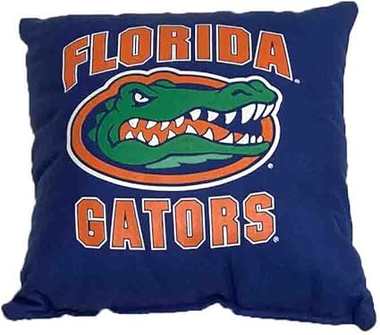 Amazon Com Biederlack Florida Gators 18 X 18 Pillow Sports