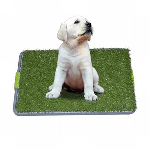 Synturfmats Indoor Pet Potty Pad, 3 Layers Dog Toielt Training Mat 17"x27"