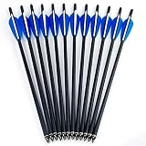 GPP Hunting Archery Carbon Arrow 20" Crossbow Bolts Arrow with 4" vanes and Replaced Arrowhead/Tip 12PC