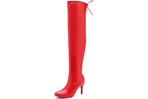 LIURUIJIA Women's Pointed Toe Over The Knee Thigh High Boots Stiletto High Heel Long Stretch Pull On Sexy Fall Boots