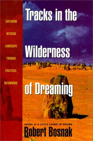 Tracks in the Wilderness of Dreaming by Robert Bosnak
