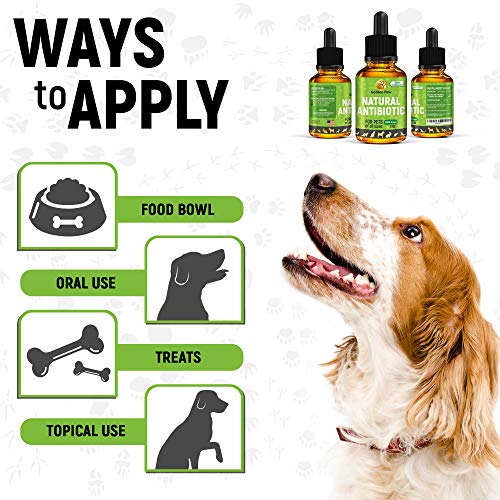 GoldenPaw Natural Antibiotíс for Dogs New Garlic Free Formula