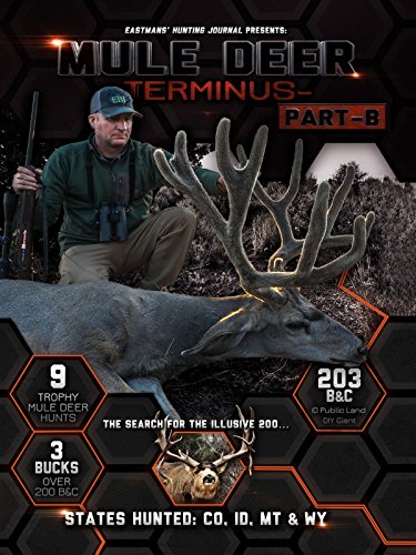 Mule Deer Terminus Part B