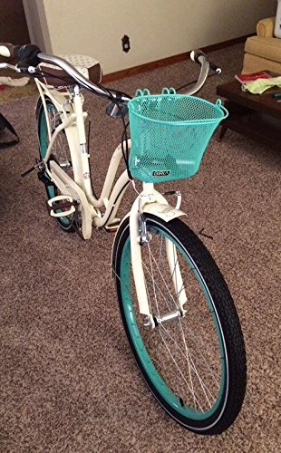 image for Biria Basket with Hooks Green Sunglass Emoji Front, Removable, Wire me