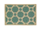 Buddy's Line Natural Jute Pet Placemat, Teal Background