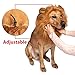Dog Lion Mane Dog Wig - Pet Costumes for Large Dogs and Medium Dogs - Adjustable Pet Costume Lion Wig for Halloween with Gift - Lion Tail